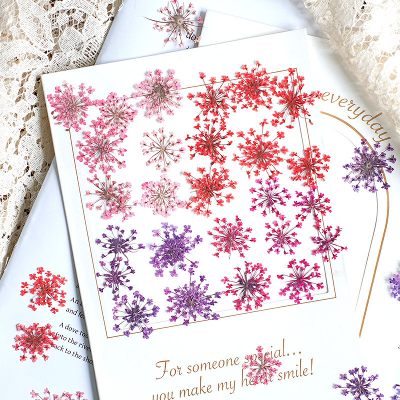 Resin Art Price - 24pcs,2-2.5cm,nature Dyed Mini Lace Pressed Flower