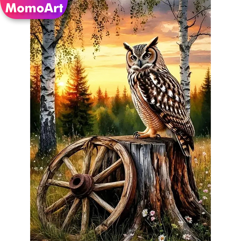 Resin Art Price - Momoart Diamond Embroidery Owl Animal Acrylic