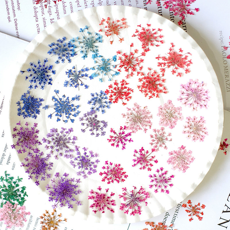 24pcs,2-2.5cm,nature Dyed Mini - مراجعة Resin Art Price وسعره