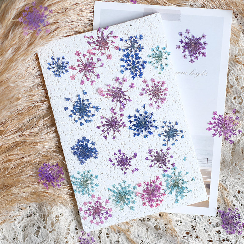 24pcs,2-2.5cm,nature Dyed Mini - مراجعة Resin Art Price وسعره