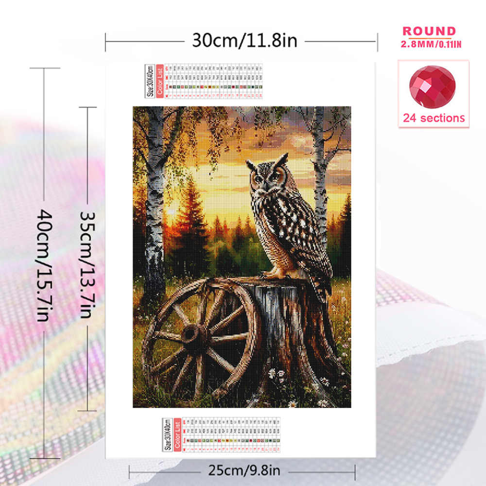 Momoart Diamond Embroidery Owl - مراجعة Resin Art Price وسعره