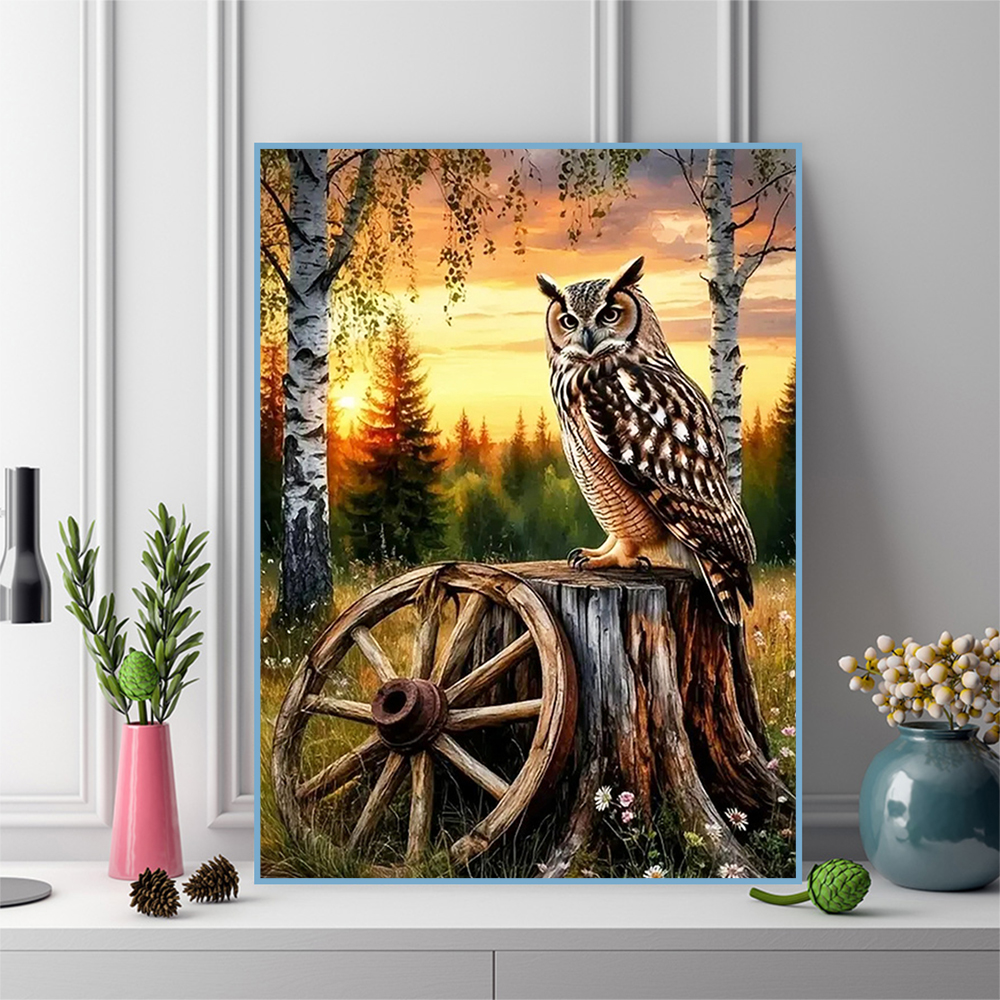 Momoart Diamond Embroidery Owl - مراجعة Resin Art Price وسعره
